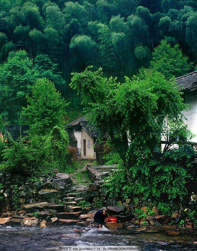 春雨直播app