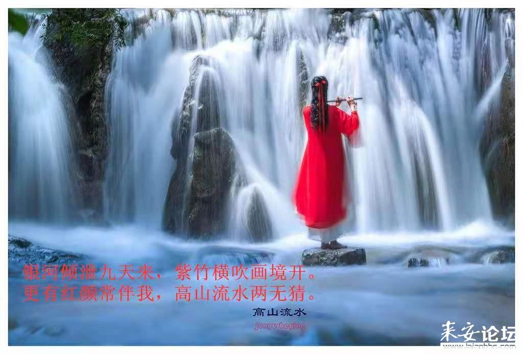 聊城：建立企业梯度培育库，持续健全梯度培育机制