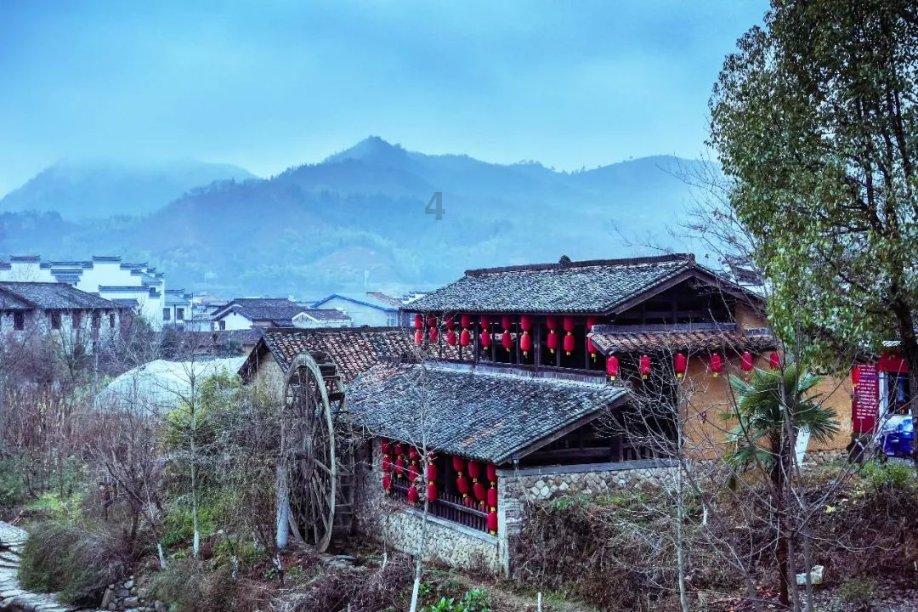漂亮鹦鹉救援